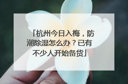 杭州今日入梅，防潮除湿怎么办？已有不少人开始备货