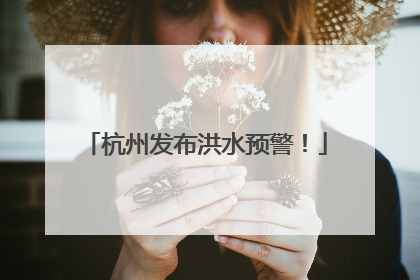 杭州发布洪水预警！