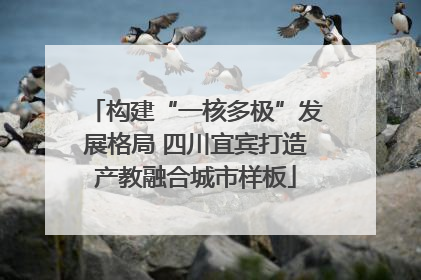构建“一核多极”发展格局 四川宜宾打造产教融合城市样板