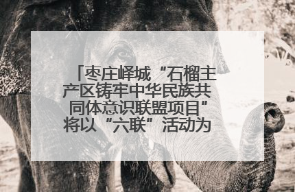 枣庄峄城“石榴主产区铸牢中华民族共同体意识联盟项目”将以“六联”活动为抓手深化品牌建设