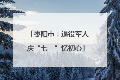 枣阳市：退役军人庆“七一”忆初心