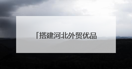 搭建河北外贸优品“卖全球”新通道