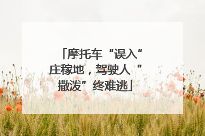 摩托车“误入”庄稼地，驾驶人“撒泼”终难逃
