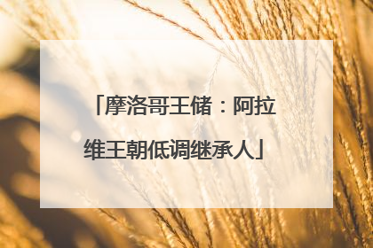 摩洛哥王储：阿拉维王朝低调继承人