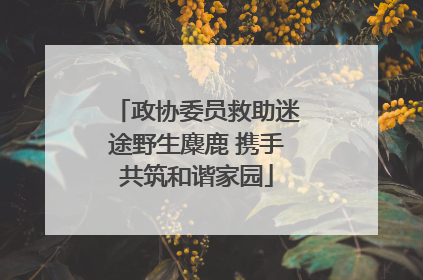政协委员救助迷途野生麋鹿 携手共筑和谐家园