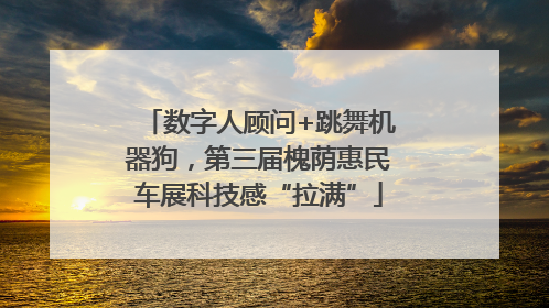 数字人顾问+跳舞机器狗，第三届槐荫惠民车展科技感“拉满”