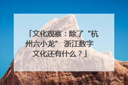 文化观察：除了“杭州六小龙” 浙江数字文化还有什么？