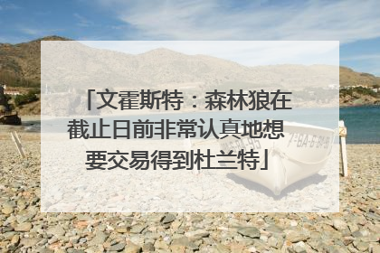 文霍斯特：森林狼在截止日前非常认真地想要交易得到杜兰特