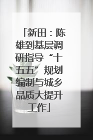 新田：陈雄到基层调研指导“十五五”规划编制与城乡品质大提升工作