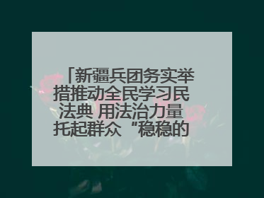 新疆兵团务实举措推动全民学习民法典 用法治力量托起群众“稳稳的幸福”