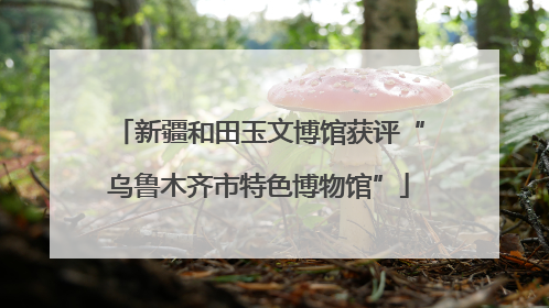 新疆和田玉文博馆获评“乌鲁木齐市特色博物馆”