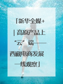 新华全媒+｜高原产品上“云”端——西藏电商发展一线观察