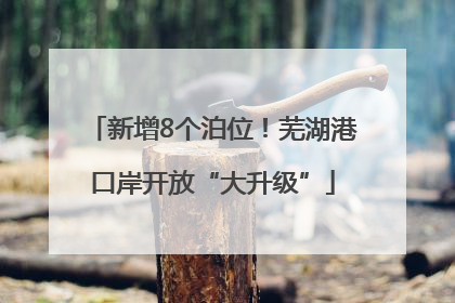 新增8个泊位！芜湖港口岸开放“大升级”