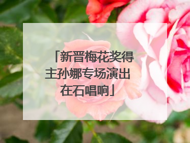 新晋梅花奖得主孙娜专场演出在石唱响