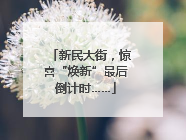 新民大街，惊喜“焕新”最后倒计时……