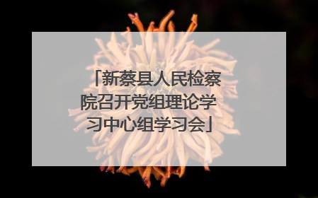 新蔡县人民检察院召开党组理论学习中心组学习会