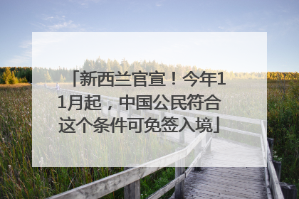 新西兰官宣！今年11月起，中国公民符合这个条件可免签入境
