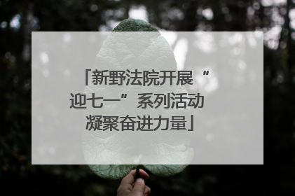 新野法院开展“迎七一”系列活动 凝聚奋进力量