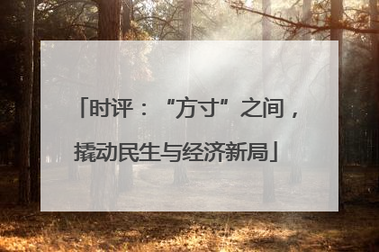 时评：“方寸”之间，撬动民生与经济新局