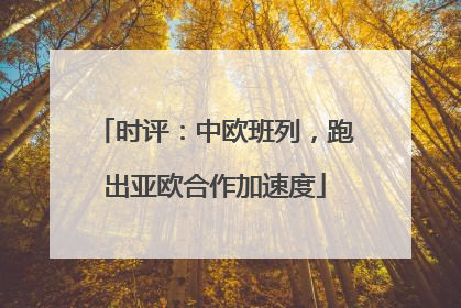时评：中欧班列，跑出亚欧合作加速度