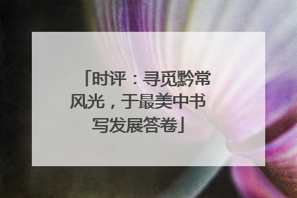 时评：寻觅黔常风光，于最美中书写发展答卷