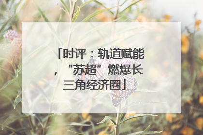 时评：轨道赋能，“苏超”燃爆长三角经济圈