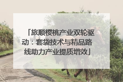 旅顺樱桃产业双轮驱动：套袋技术与精品路线助力产业提质增效