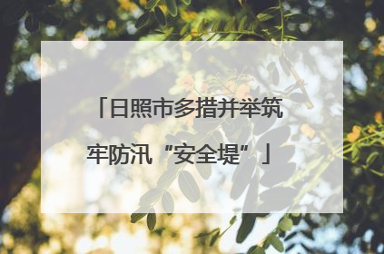 日照市多措并举筑牢防汛“安全堤”