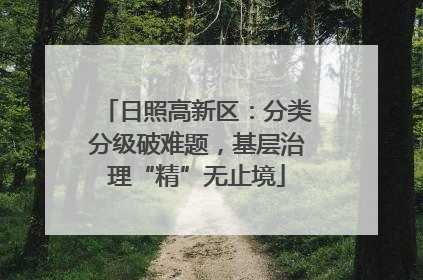 日照高新区：分类分级破难题，基层治理“精”无止境