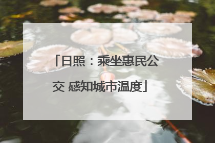 日照：乘坐惠民公交 感知城市温度