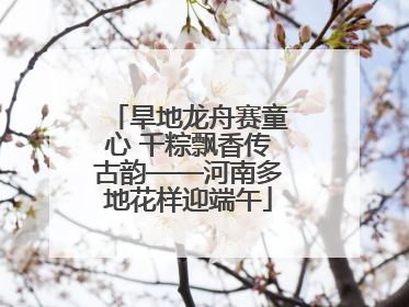 旱地龙舟赛童心 千粽飘香传古韵——河南多地花样迎端午