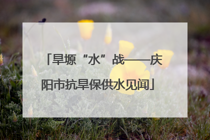 旱塬“水”战——庆阳市抗旱保供水见闻