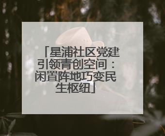 星浦社区党建引领青创空间：闲置阵地巧变民生枢纽