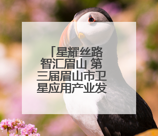 星耀丝路 智汇眉山 第三届眉山市卫星应用产业发展大会召开