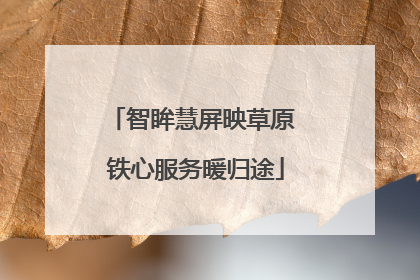 智眸慧屏映草原 铁心服务暖归途