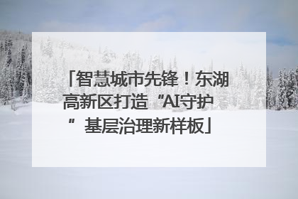 智慧城市先锋！东湖高新区打造“AI守护”基层治理新样板