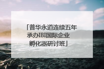 普华永道连续五年承办IBI国际企业孵化器研讨班