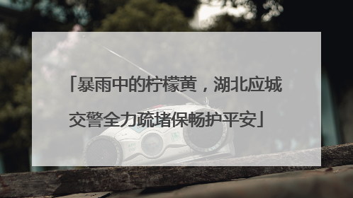暴雨中的柠檬黄，湖北应城交警全力疏堵保畅护平安