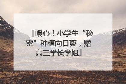 暖心！小学生“秘密”种植向日葵，赠高三学长学姐