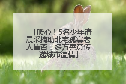 暖心！5名少年清晨采摘助北宅孤寡老人售杏，多方善意传递城市温情