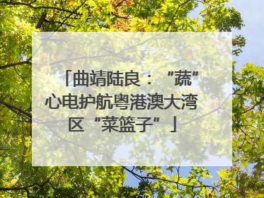 曲靖陆良：“蔬”心电护航粤港澳大湾区“菜篮子”