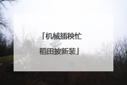 机械插秧忙 稻田披新装