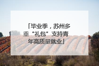 毕业季，苏州多重“礼包”支持青年高质量就业