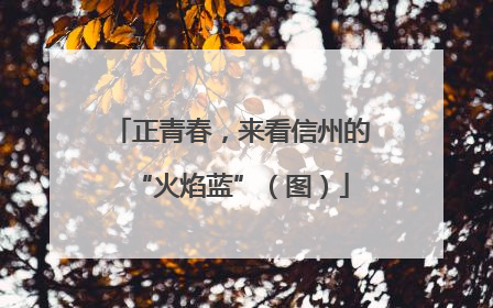 正青春，来看信州的“火焰蓝”（图）