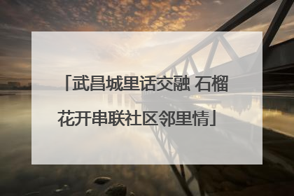 武昌城里话交融 石榴花开串联社区邻里情