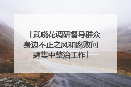 武晓花调研督导群众身边不正之风和腐败问题集中整治工作
