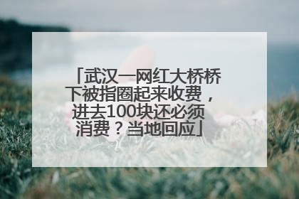 武汉一网红大桥桥下被指圈起来收费，进去100块还必须消费？当地回应