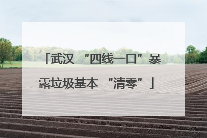 武汉 “四线一口”暴露垃圾基本 “清零”