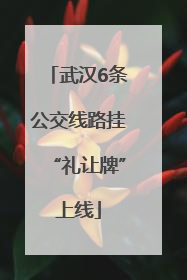 武汉6条公交线路挂“礼让牌”上线