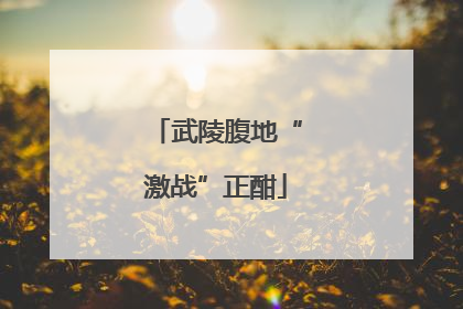武陵腹地“激战”正酣